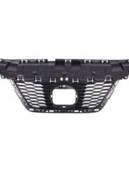 NI1200311C Grille Main