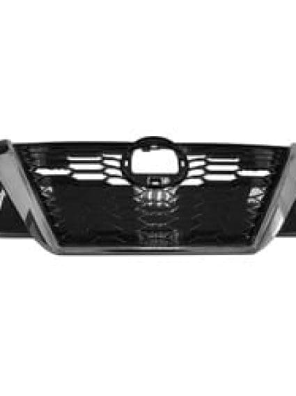 NI1200317 Grille Main