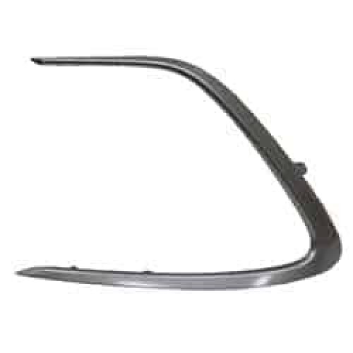 TO1038244C Driver Side Molding