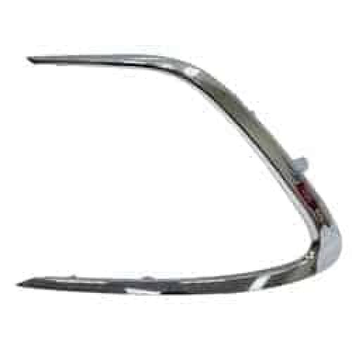 TO1038245C Driver Side Molding