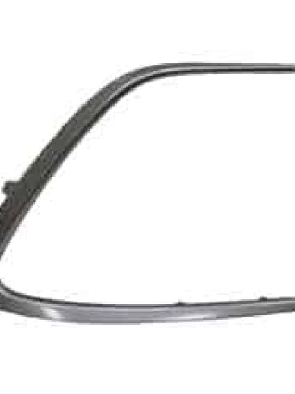 TO1039244C Passenger Side Molding