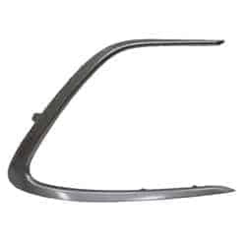 TO1039244C Passenger Side Molding