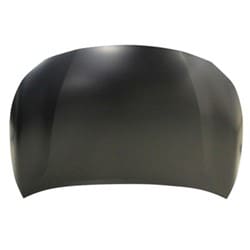 TO1230257C Front Hood Panel