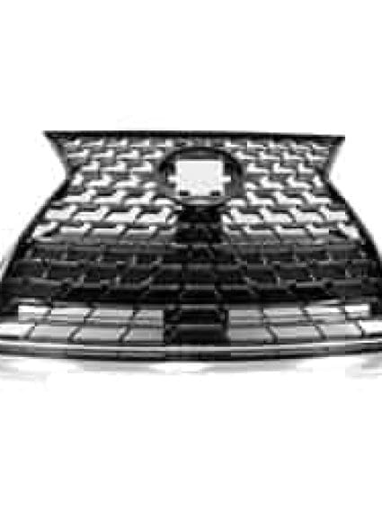 LX1200209 Grille Main
