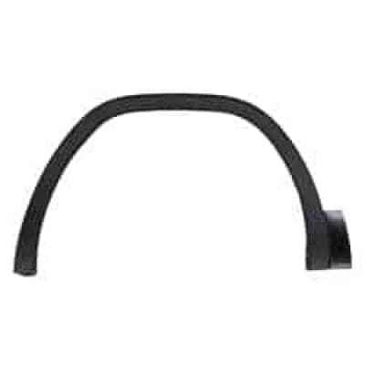 VW1290108 Driver Side Fender Molding