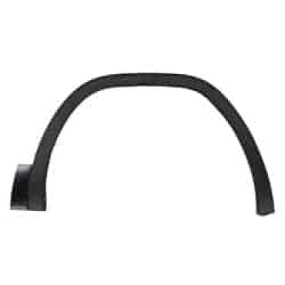 VW1291108 Passenger Side Fender Molding