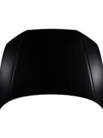AU1230128C Body Panel Hood