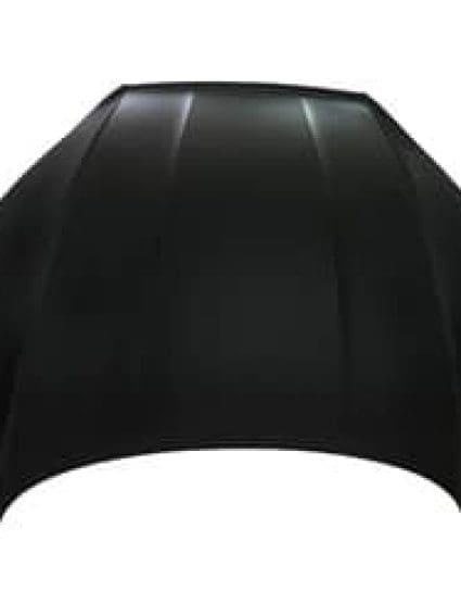 AU1230137 Body Panel Hood