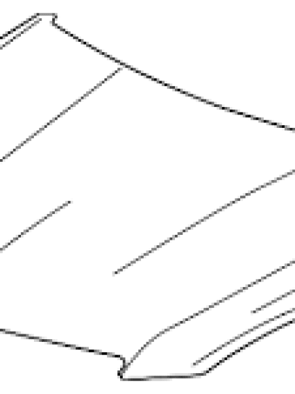 GM1230480 Body Panel Hood
