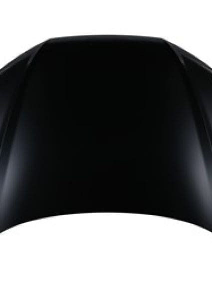 AU1230135C Body Panel Hood