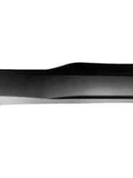 FO1505112 Passenger Side Door Molding