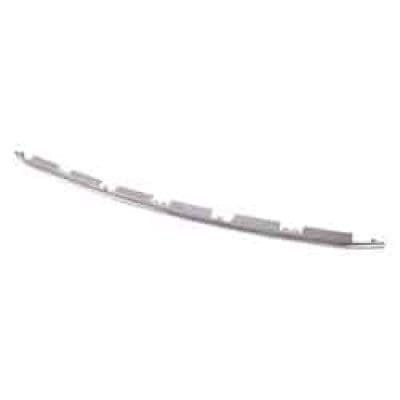 FO1216113C Grille Molding