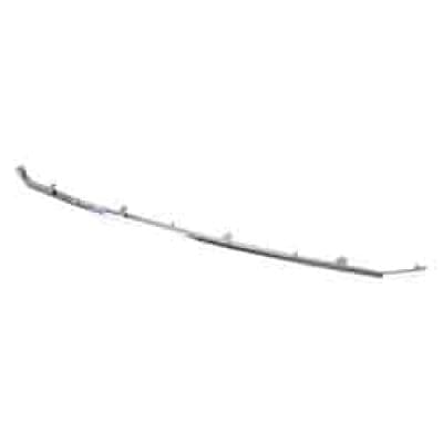 FO1217113C Grille Molding