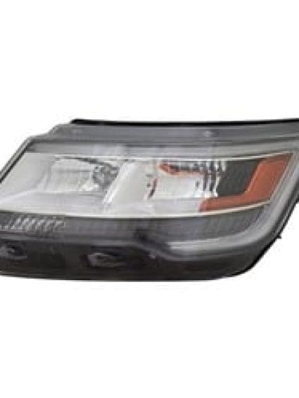 FO2518130C Headlight Assembly