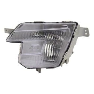 FO2592243C Fog Lamp Assembly