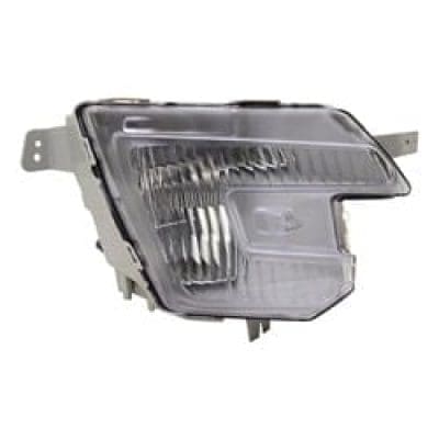 FO2593243C Fog Lamp Assembly