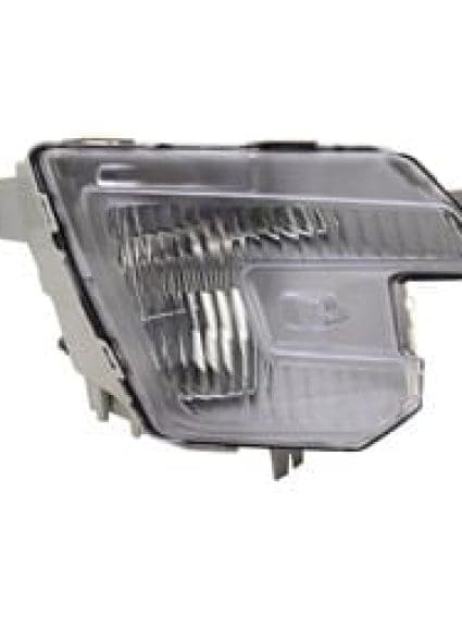 FO2593243C Fog Lamp Assembly