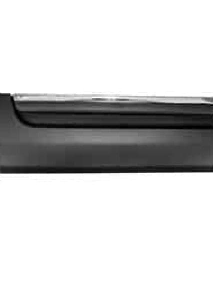 FO1505113 Passenger Side Door Molding