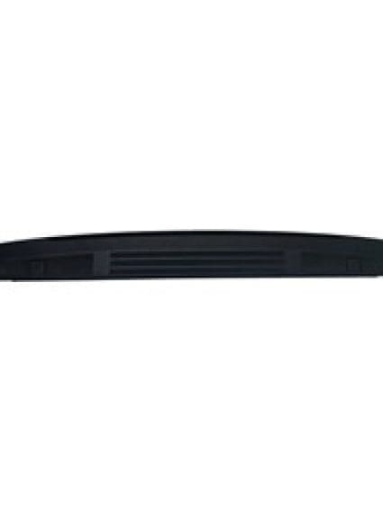 FO1904145C Tailgate Molding