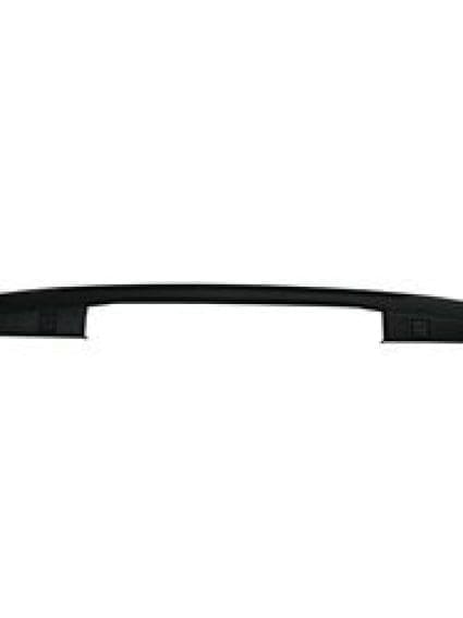 FO1904146C Tailgate Molding