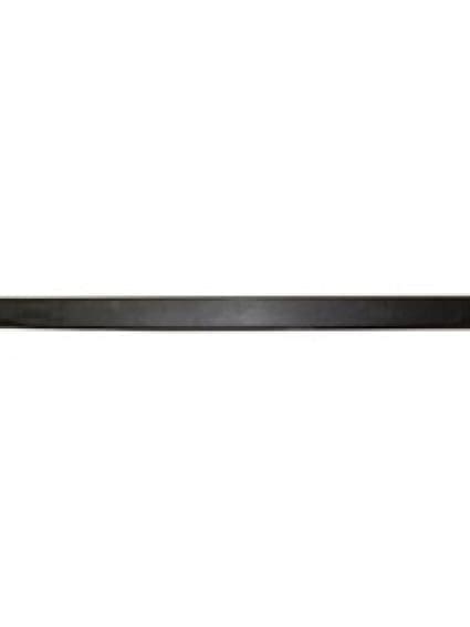 FO1904104 Tailgate Molding