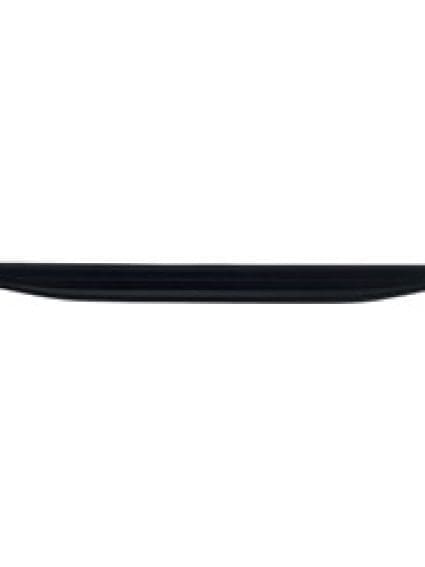FO1904144 Tailgate Molding