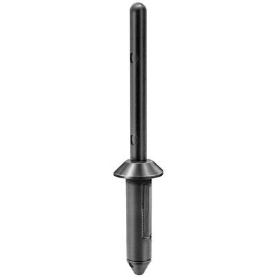 Auveco Rivets Black Plastic CAPS13746 3/16 23/32 Grip PK 25