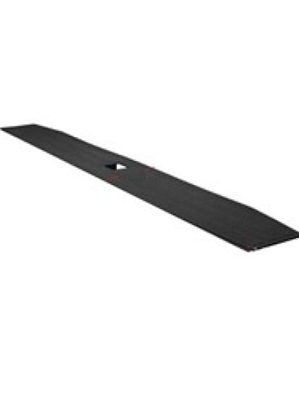 FO1904134 Driver Side Tailgate Molding