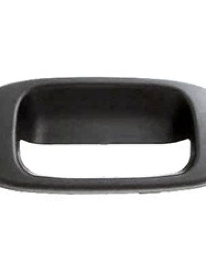 GM1916102 Handle Tailgate Exterior Bezel