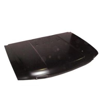 GM1230402C Body Panel Hood