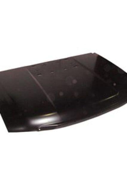 GM1230402C Body Panel Hood