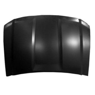 GM1230425C Body Panel Hood