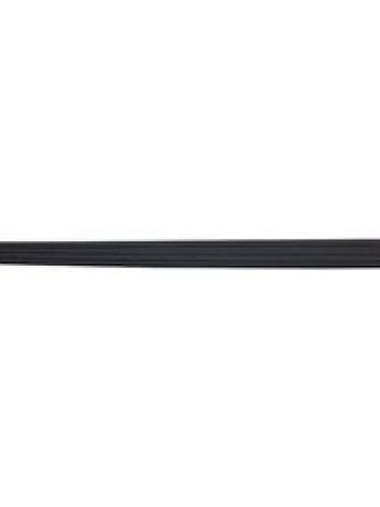 FO1793107 Passenger Side Molding