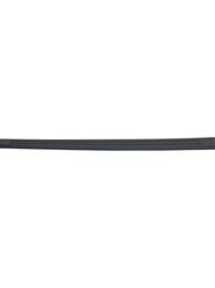 FO1793109 Passenger Side Molding