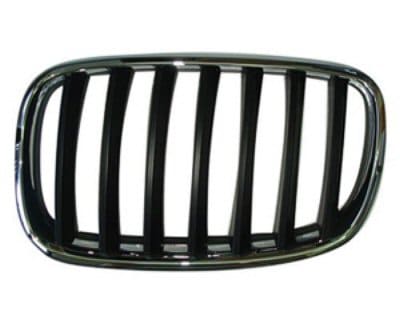 BM1200180 Grille Main