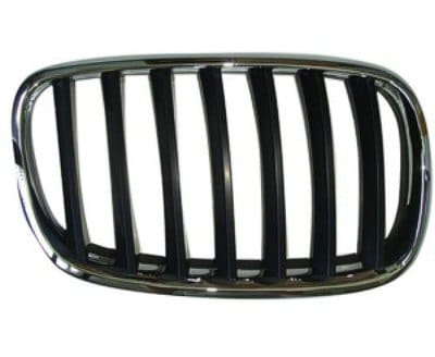 BM1200181 Grille Main