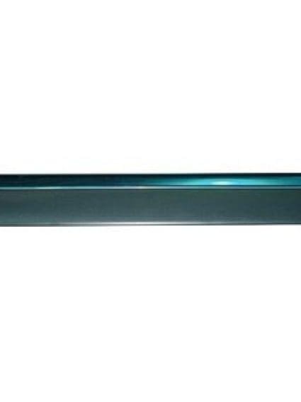 FO1505105 Body Panel Door Molding Passenger Side