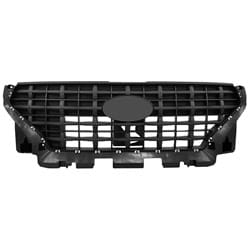 HY1200232 Grille Main