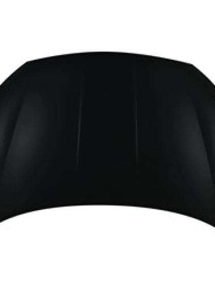HY1230177C Front Hood Panel