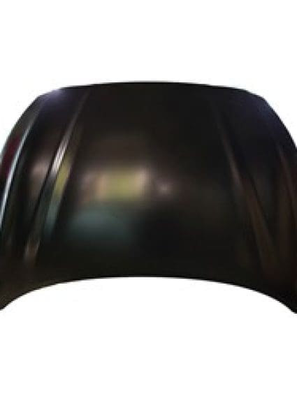 HY1230179 Front Hood Panel