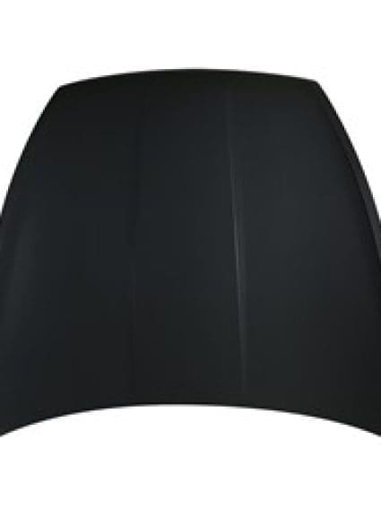 HY1230180C Front Hood Panel