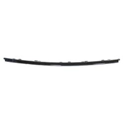 TO1044132 Front Center Bumper Cover Molding