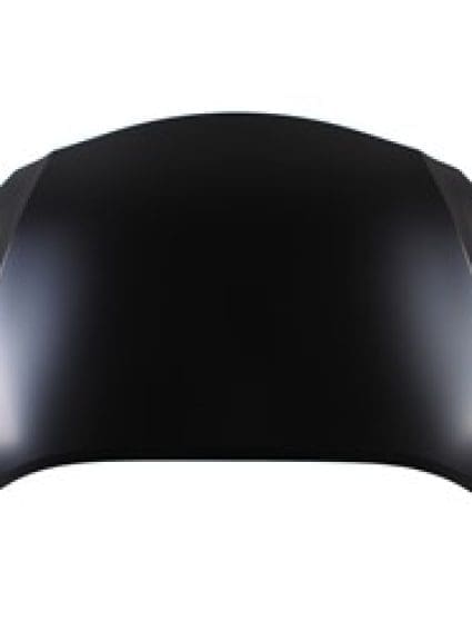 TO1230261C Hood Panel