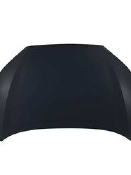 TO1230262C Hood Panel