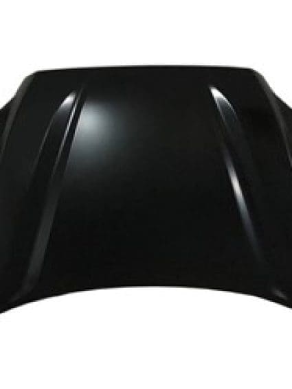 TO1230264C Hood Panel