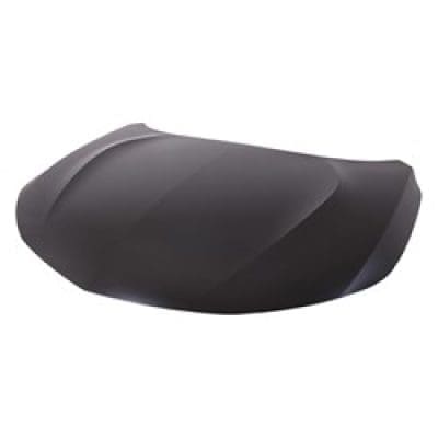 AC1230132C Hood Panel
