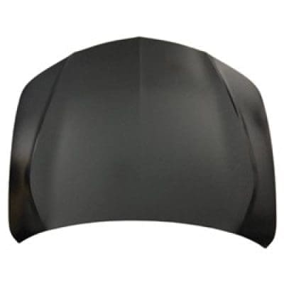 AC1230137C Hood Panel