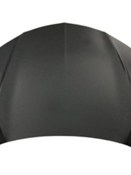 AC1230137C Hood Panel