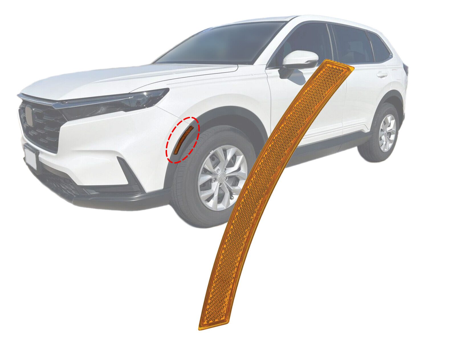 HO2556102C Driver Side Reflector Assembly