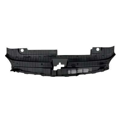 KI1224119 Grille Radiator Sight Shield